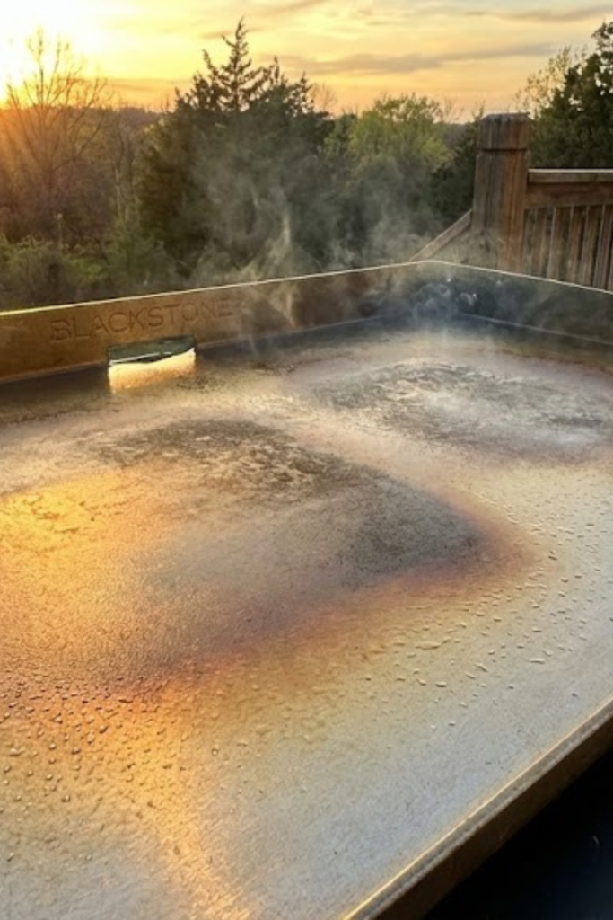 Sizzling Blackstone Indian Spiced Rice Bowls: The Best Recipe of 2026 2 Article Image Size 2025 12 23T093451.017